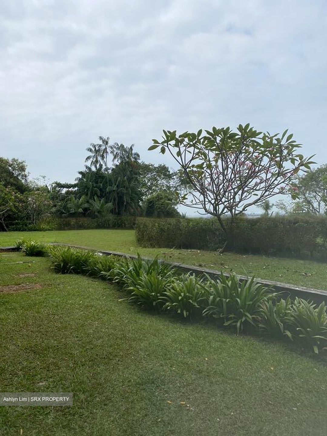 The Knolls (D4), Condominium #477578151